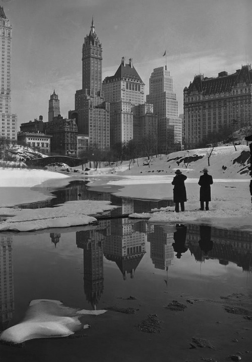 nevver:
““What strange phenomenon we find in a great city, all we do is stroll about with our eyes open. Life swarms with innocent monsters.”
Charles Baudelaire
”