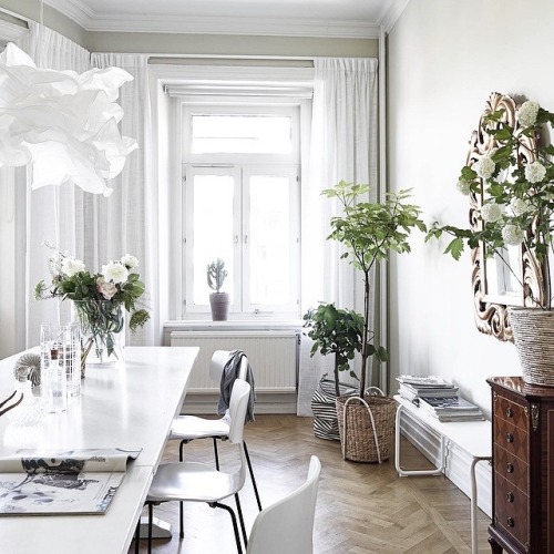 ehstrela:
“ balmaihn:
“B A L M A I H N
”
follow for more ”